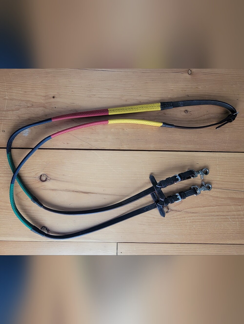 Rainbow Reins for Horses with Leather Stops